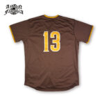 aztlanfamilia_sd_bb_shirt_brown