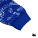 paisley_serape_reversible_jacket_blue