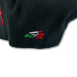 brownpride_big_logo_cap_black