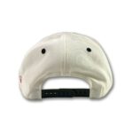 brownpride_big_logo_cap_white