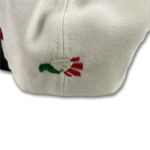 brownpride_big_logo_cap_white