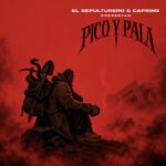 elsepulturero_picoypala